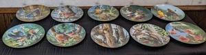 lot 42 image: Edwin M Knowles China Collectible Plates The Blue Jay, The Cardinal, The Baltimore Oriole, & More