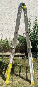 lot 113 image: Cosco 13 Extension Ladder