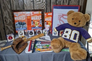 lot 381 image: Collection of Vintage Minnesota Sports Fan Memorabilia Twins, MLB, Vikings, NFL, Timberwolves, NBA, Ornaments, Pennants, Wheaties Boxes and More