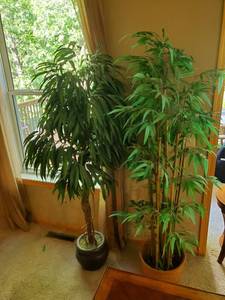 Two Faux Plant Trees