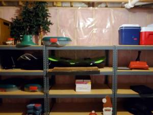 Contents Of Shelfs