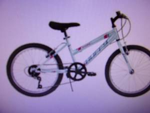 lot 17 image: Huffy Granite Kids 20 5-Speed Bik...