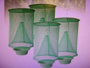lot 99 image: 94 packs of  Ranch Green Cage for ...