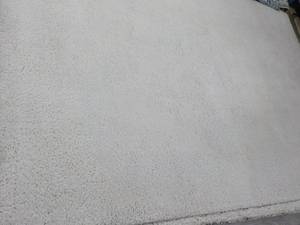5 ft 3 x 7 ft Area Rug Brand New ...