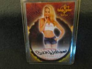113. 2014 BenchWarmer Beth Williams...