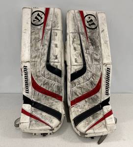 lot 18 image: Warrior Ritual Gaolie Pads 30