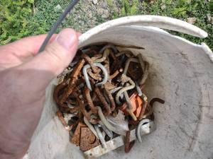 Pail of Scaffolding Clips...