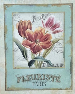 Framed Art Print by Lisa Audit