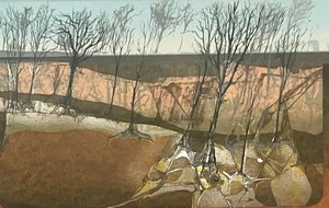 lot 34 image: Parfey Glen Late Autumn Framed Numbered Print by Jim McConnell