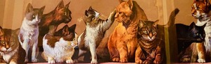 lot 78 image: The Cats of the Anderson House Hotel in Wabasha, Minnesota Framed Print by Moon