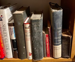 lot 125 image: Large Variety of Books