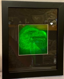 lot 198 image: Holographic Eagle Art
