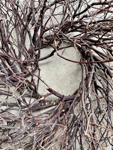 lot 234 image: Terrific Twig and Branch Wreath