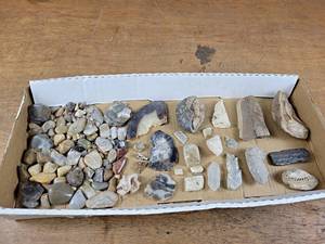Lot of Rocks - Petrified Wood, Agate Slices, Limestone, Fossil, Sandstone, Selenite, and Polished Rocks