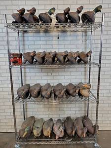 lot 13 image: Lot of (25) Plastic Duck Decoys w Weights - Sport Plast and More - NO SHIPPING - Cart NOT Included