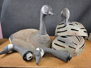 lot 90 image: Lot of (3) Large Canadian Goose Decoys - Bodies are about 40 Long - NO SHIPPING