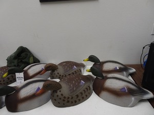 (12) Quack Mallard field shell decoys