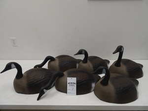 (6) Quack Canadian goose field shell decoys