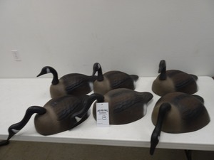 (6) Quack Canadian goose field shell decoys