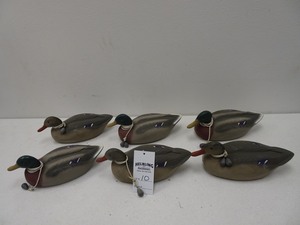 (6) regular size Mallard composite decoys