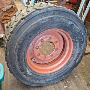 lot 48 image: 12-16.5 Skidloader Tire on 8-Bolt Rim - NO SHIPPING