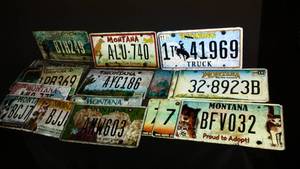 lot 14 image: License Plates  MT, MN, ND, WY