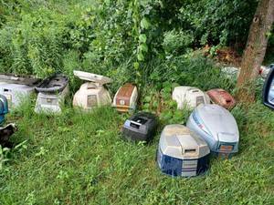 lot 444 image: More than 40 Assorted Outboard Motor Hoods