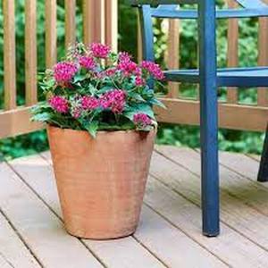 Set of 3 Terra Cotta Planting Pots