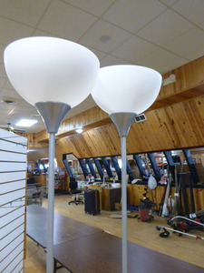 2 Floor Lamps