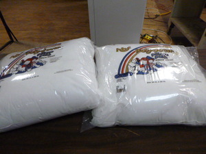 2 Poly-Down Pillow Inserts