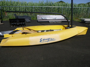 Escape  Plastic Sailboat