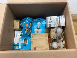 Box of Various Light Bulbs
