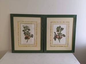 lot 100 image: Unique Pictures of the Armenia Vulgaris and Malum Communis