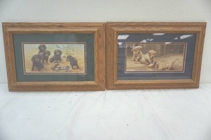 puppy prints