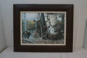 framed picture