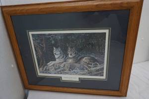 framed picture