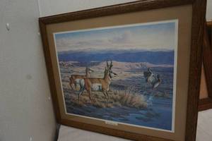 framed picture