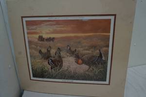conservation edition picture