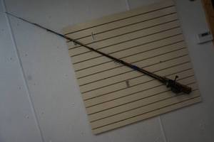 fishing rods and reels