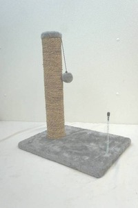 cat toy