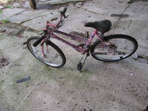 Magna Silver canyon mountain bike. ...