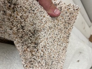 100 sq ft Rem carpet roll Very soft