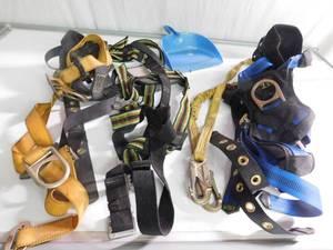 Lanyard harnesses and 1 lanyard