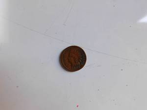 1902 Indian head penny