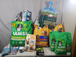 Dog Food, Pet Products, and More