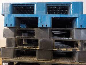 lot 391 image: 5 Plastic Pallets...