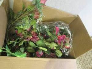 (F-0) Box Full of Misc Artificial F...
