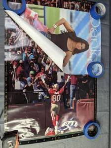 Jerry Rice and Danika Patrick NASCAR Posters X