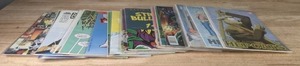 Collection of (25) Comic Books Hepcats, Primortals, Stray Bullets, Bacchus, Deadface, & More Q