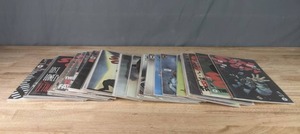 Collection of (29) Comic Books 300 and Sin City (The Big Fat Kill, Hell and Back, That Yellow Bastard, A Dame To Kill For)  Q